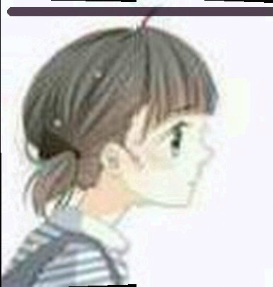 赵雪